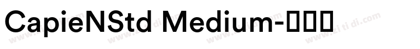 CapieNStd Medium字体转换